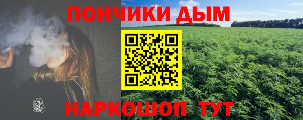 Конопля тримм  Конопля White Widow  МАРИХУАНА планчик  Канабис Amnesia  Вход с VPN  Ялуторовск 